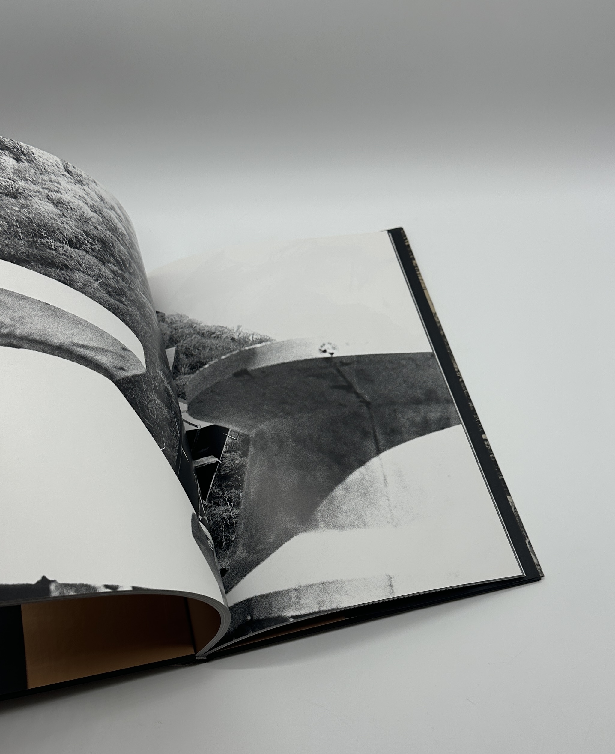 ADIEU A X - 画像 (8)