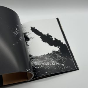 ADIEU A X - 画像 (7)