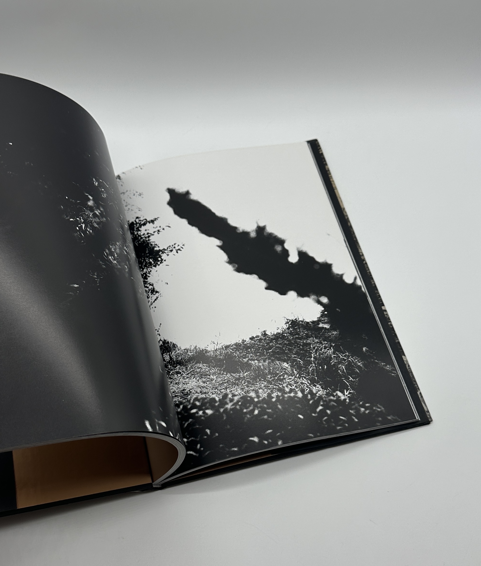 ADIEU A X - 画像 (7)