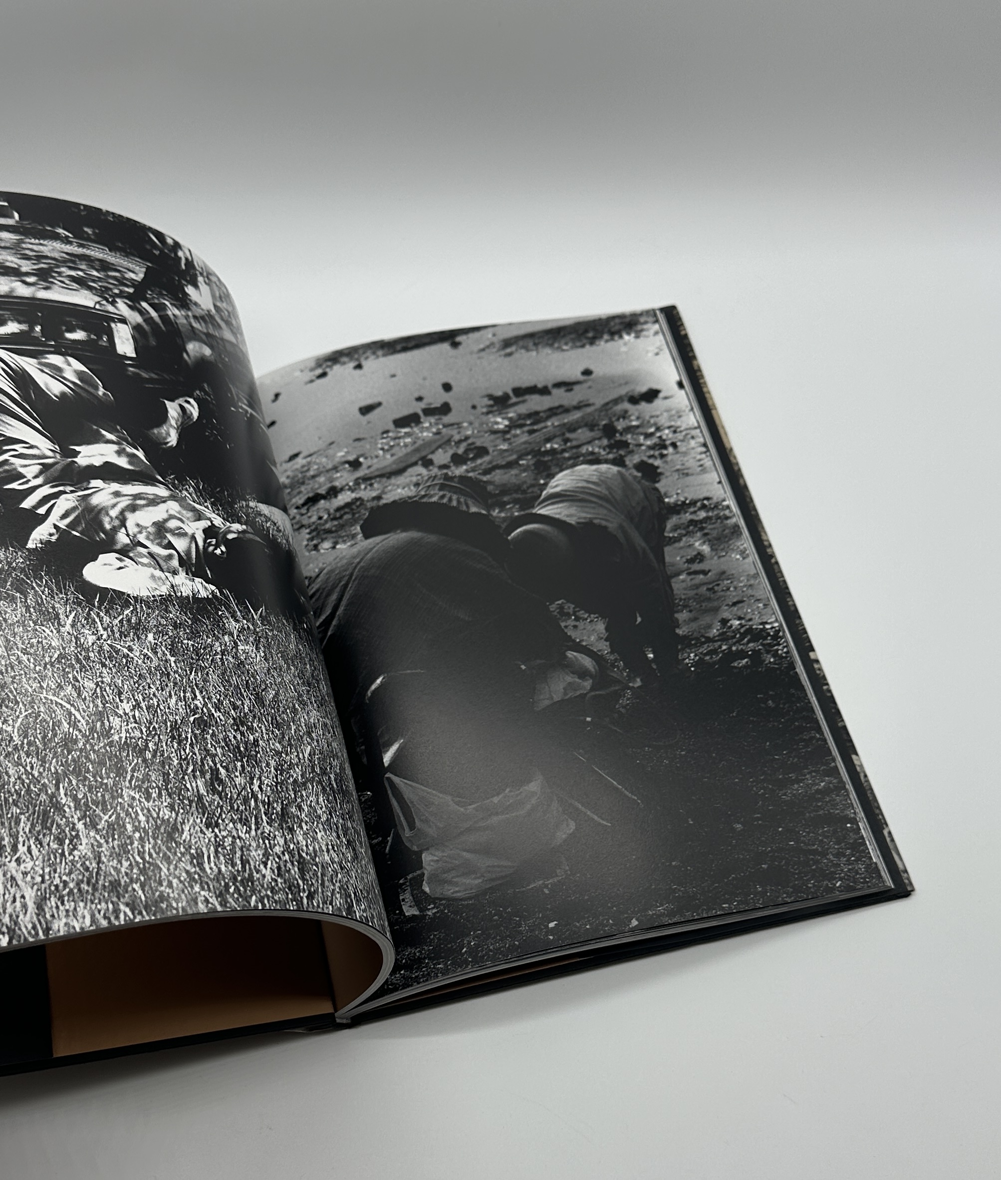 ADIEU A X - 画像 (6)