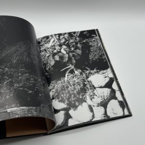 ADIEU A X - 画像 (5)