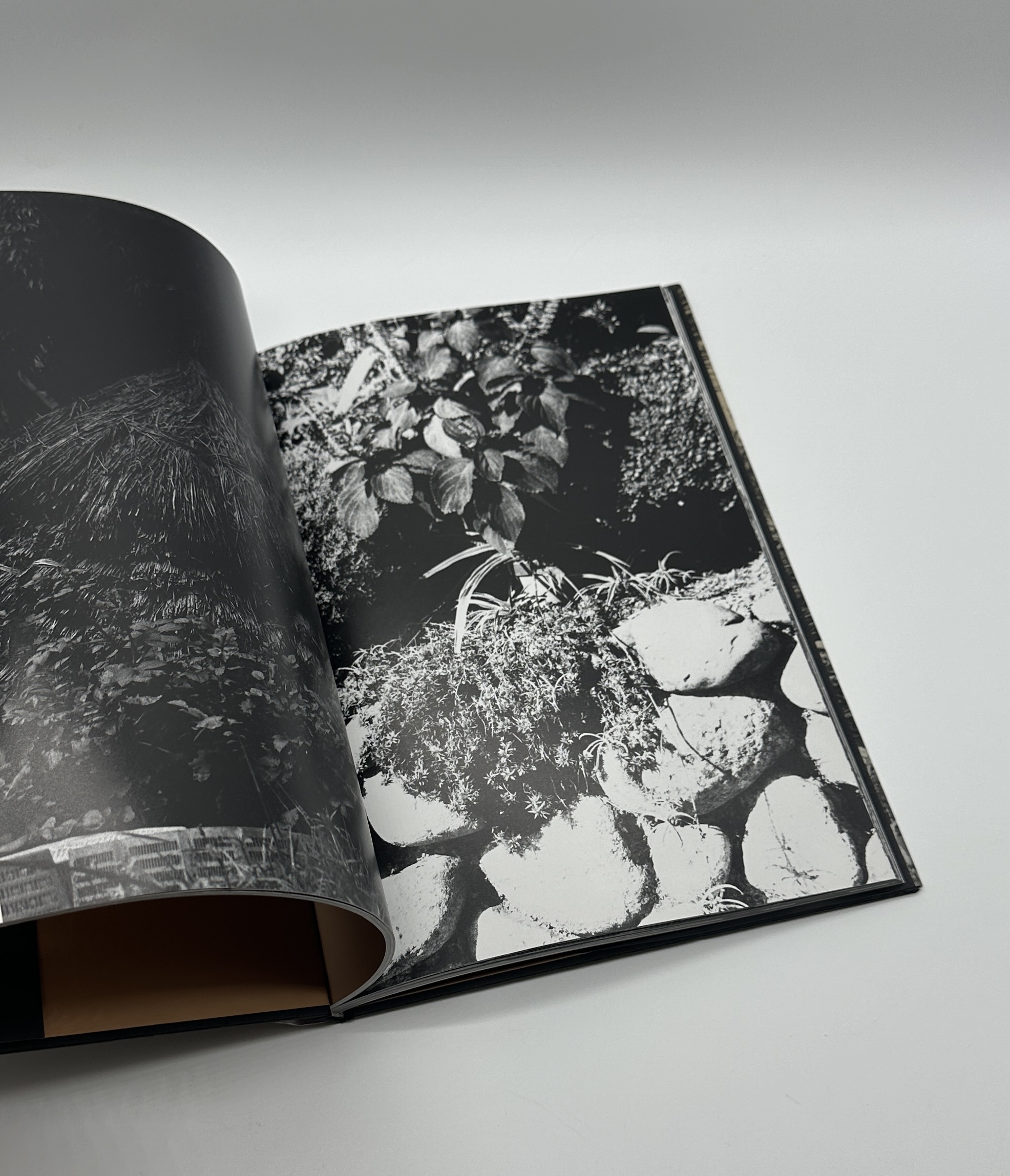 ADIEU A X - 画像 (5)