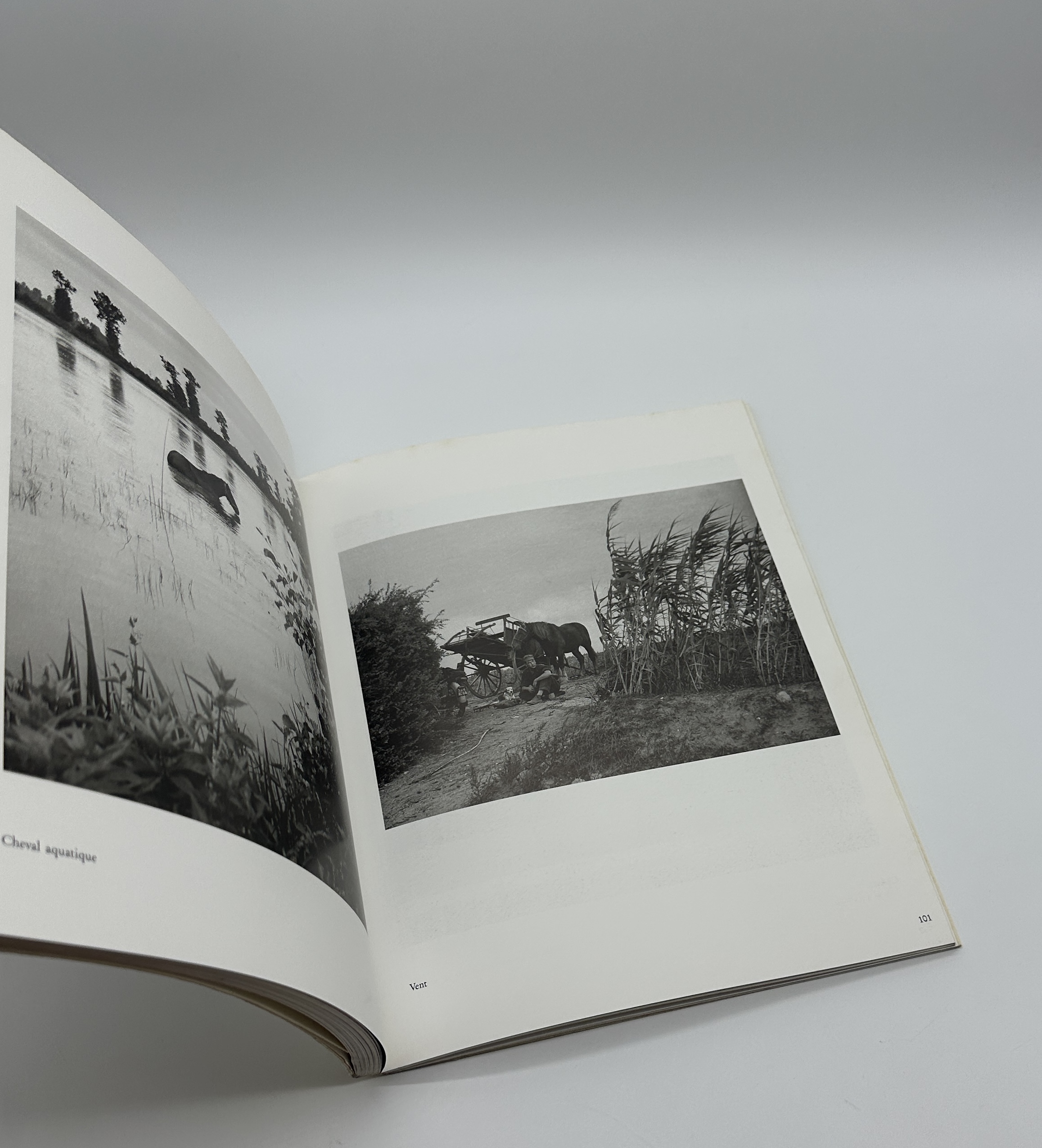 PHOTOGRAPHIES - 画像 (9)