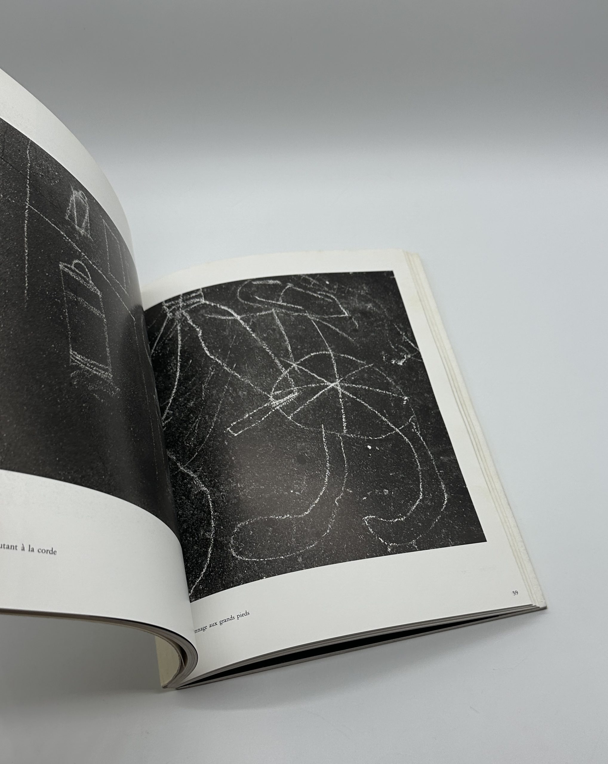 PHOTOGRAPHIES - 画像 (6)