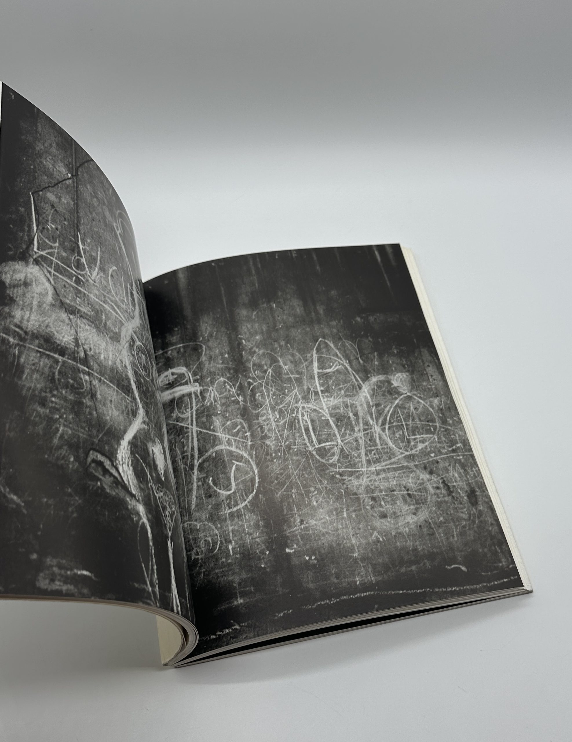 PHOTOGRAPHIES - 画像 (5)