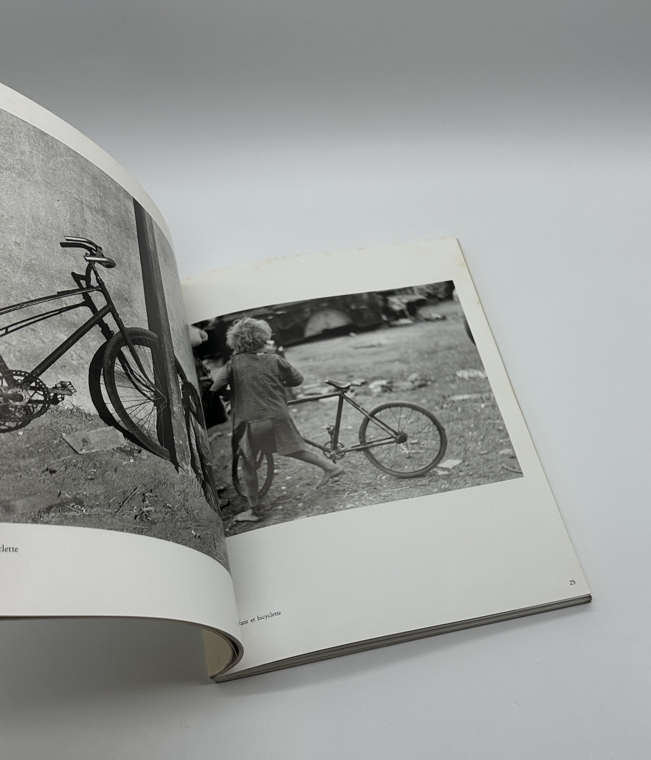 PHOTOGRAPHIES - 画像 (2)