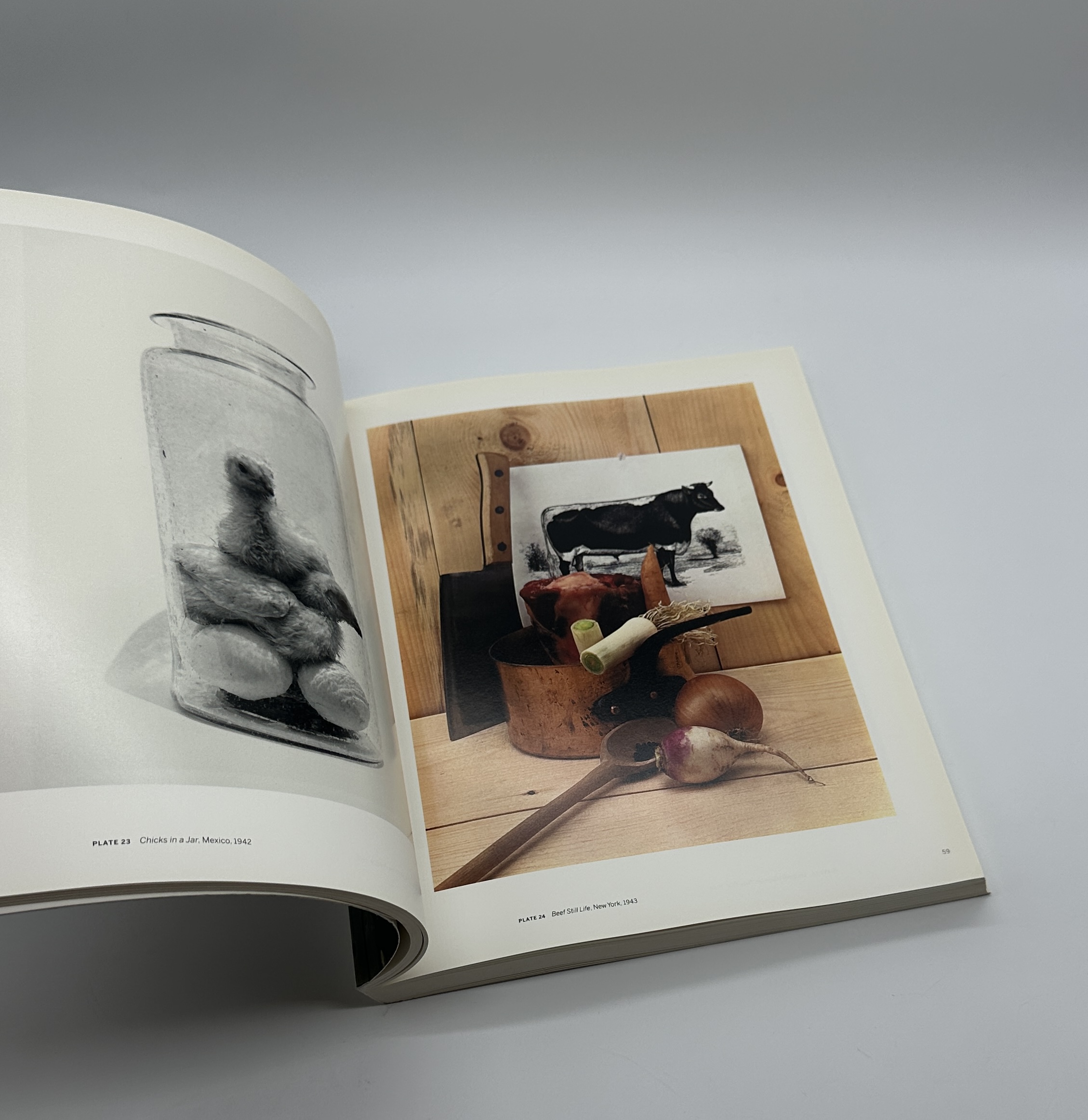 Beyond Beauty - 画像 (5)