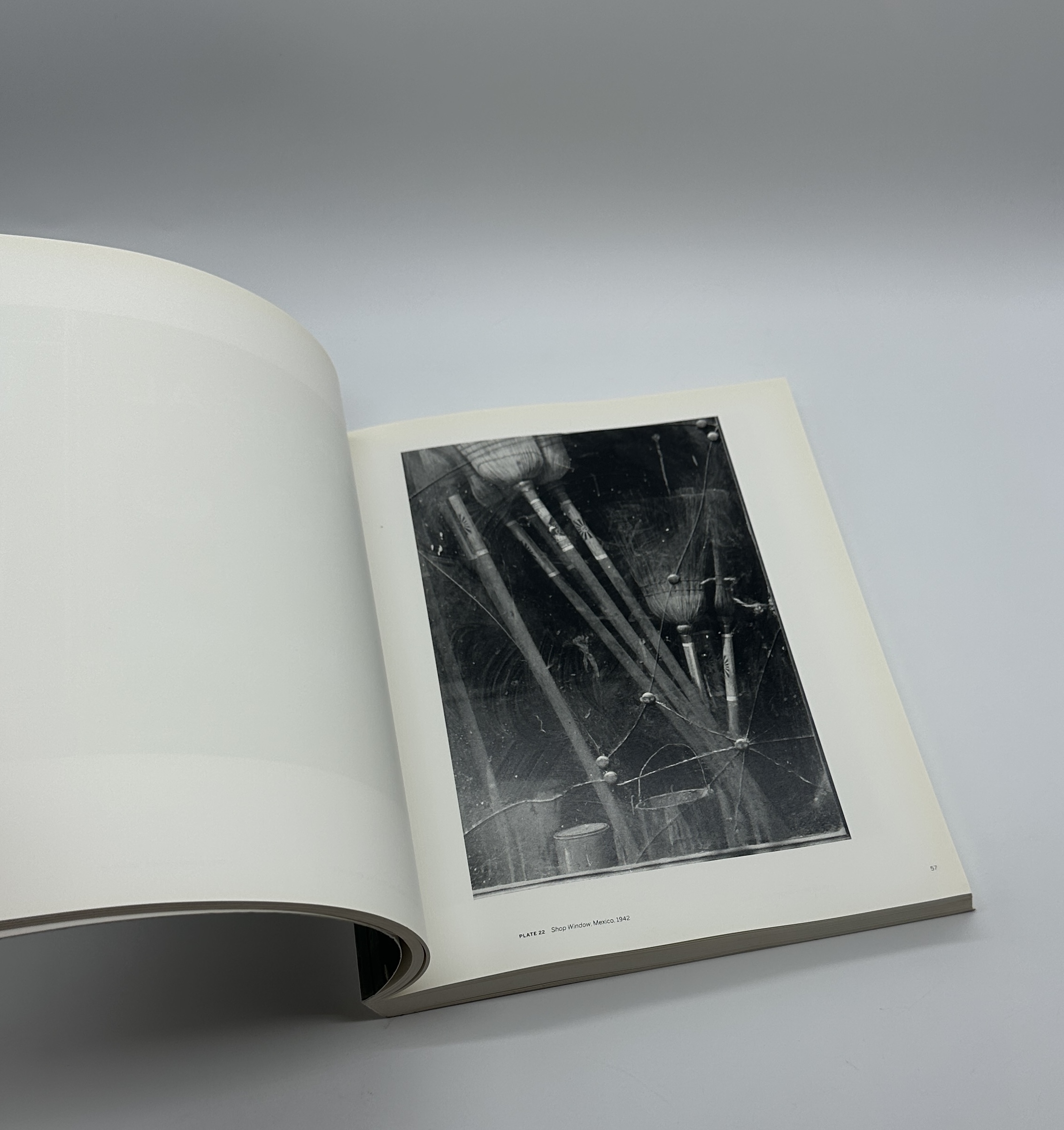 Beyond Beauty - 画像 (4)