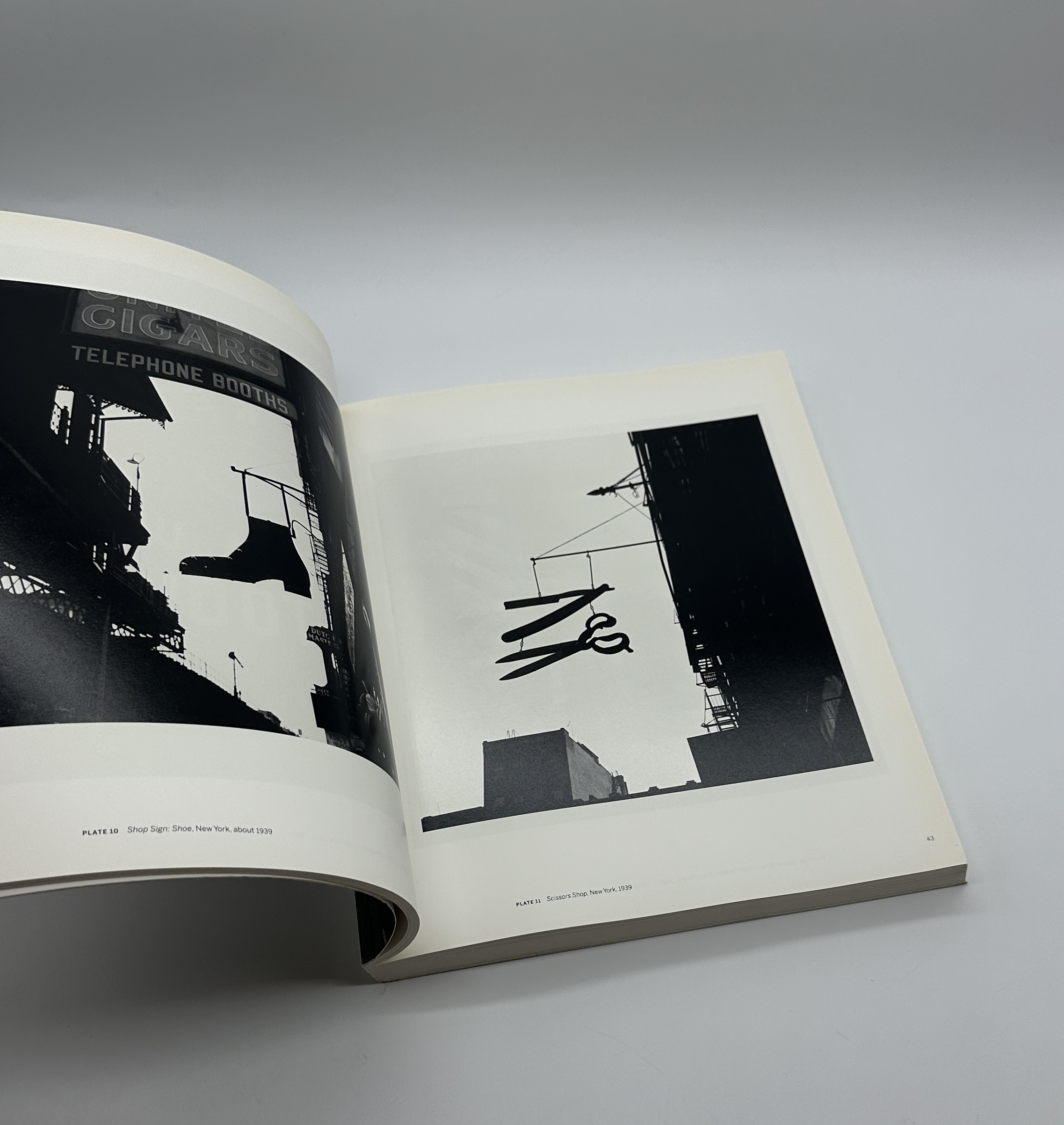 Beyond Beauty - 画像 (3)