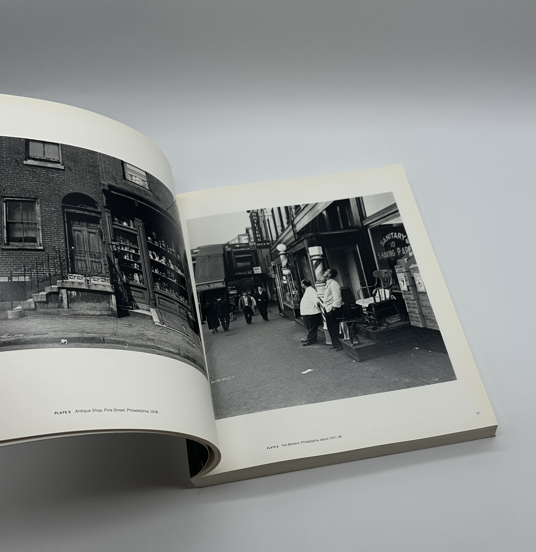 Beyond Beauty - 画像 (2)