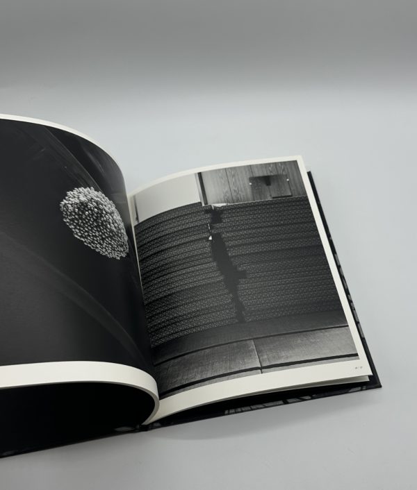 「署名入」巡る犬