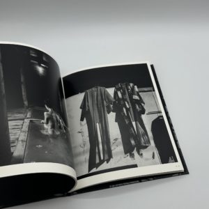 「署名入」巡る犬 - 画像 (7)