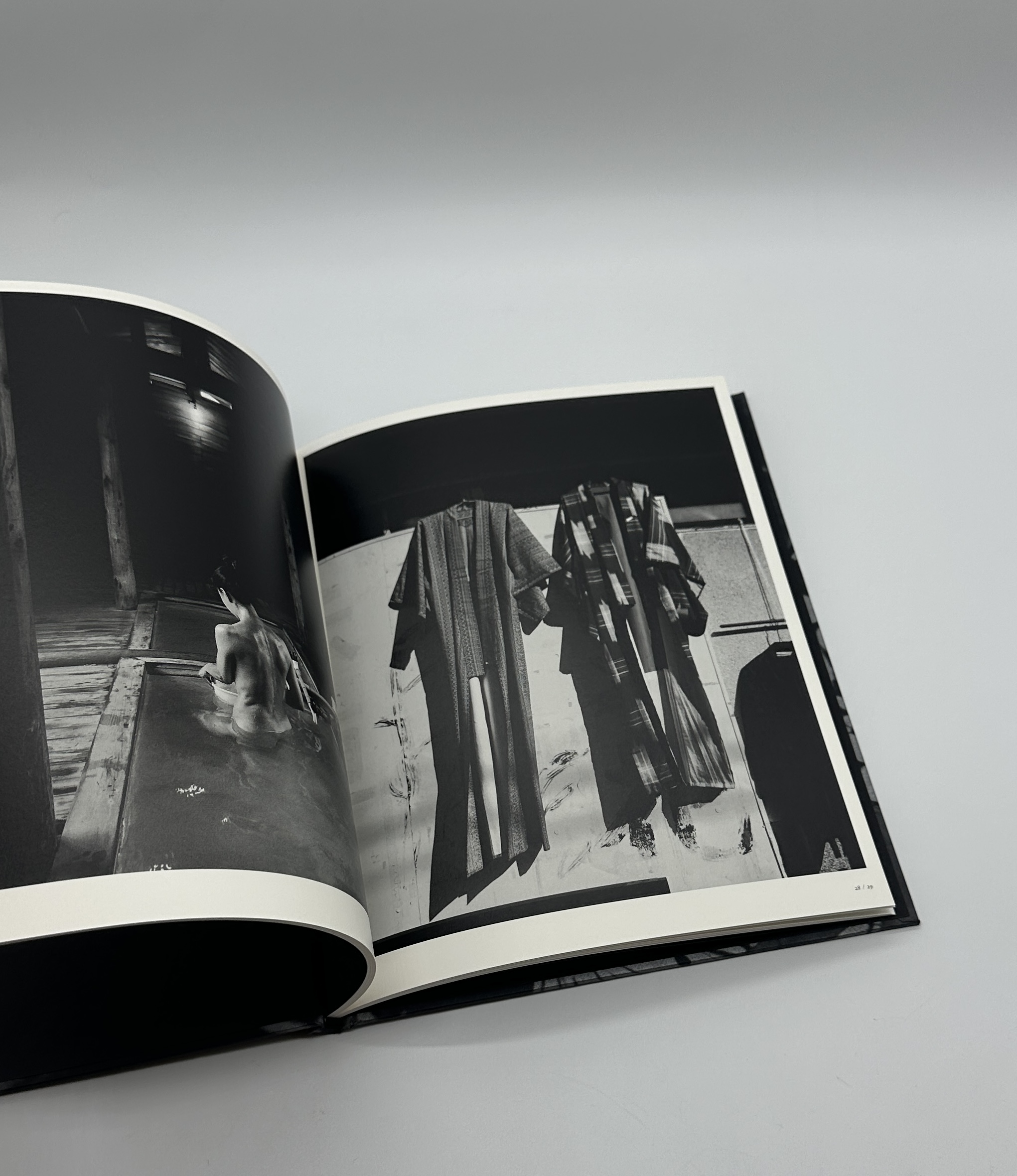 「署名入」巡る犬 - 画像 (7)