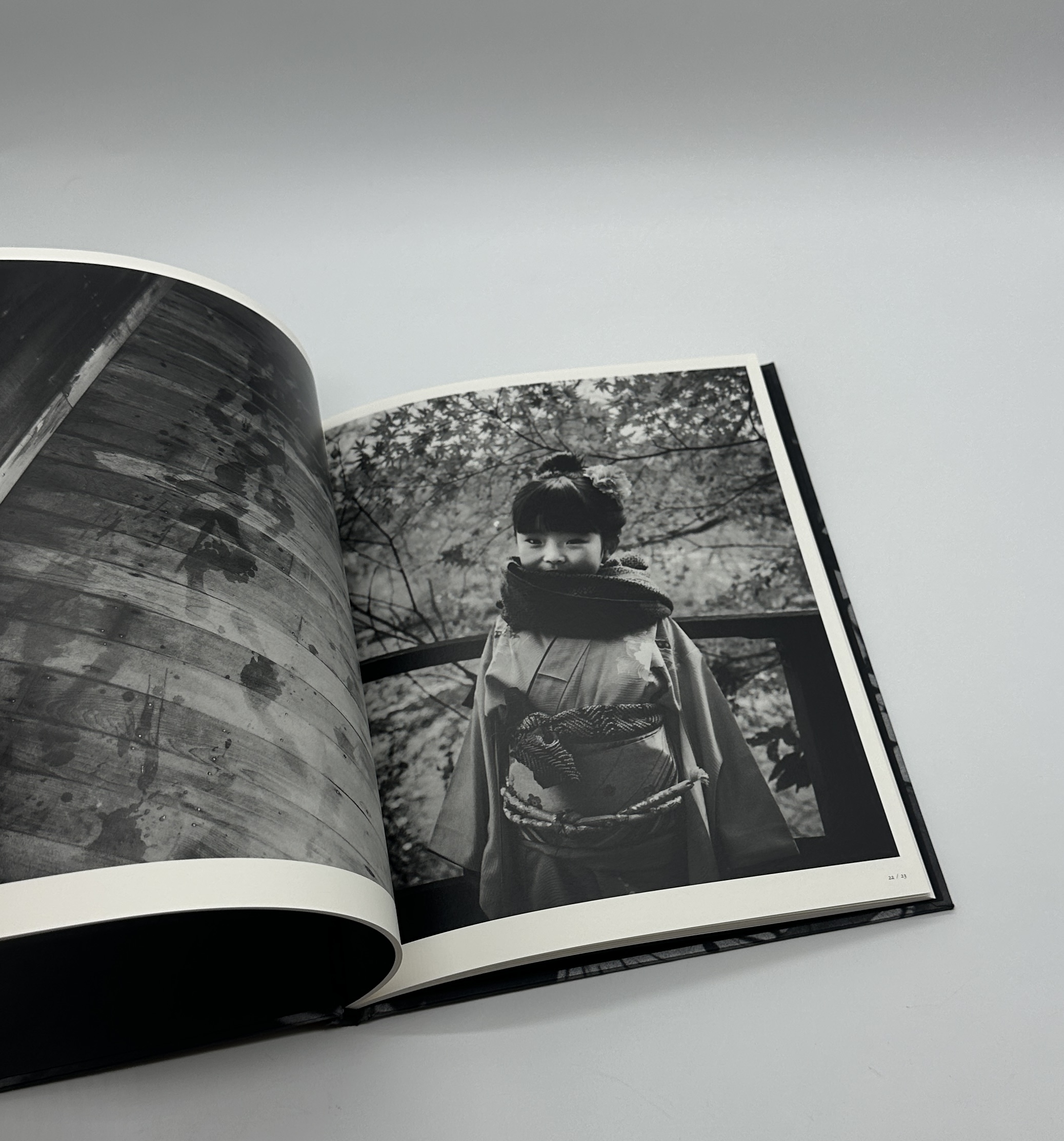 「署名入」巡る犬 - 画像 (6)