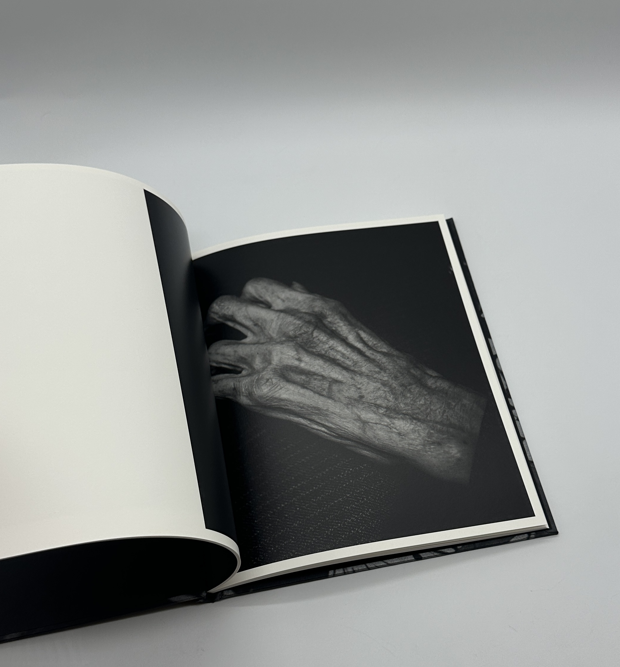 「署名入」巡る犬 - 画像 (5)