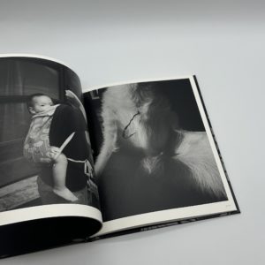 「署名入」巡る犬 - 画像 (4)