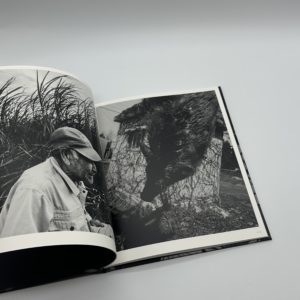 「署名入」巡る犬 - 画像 (3)