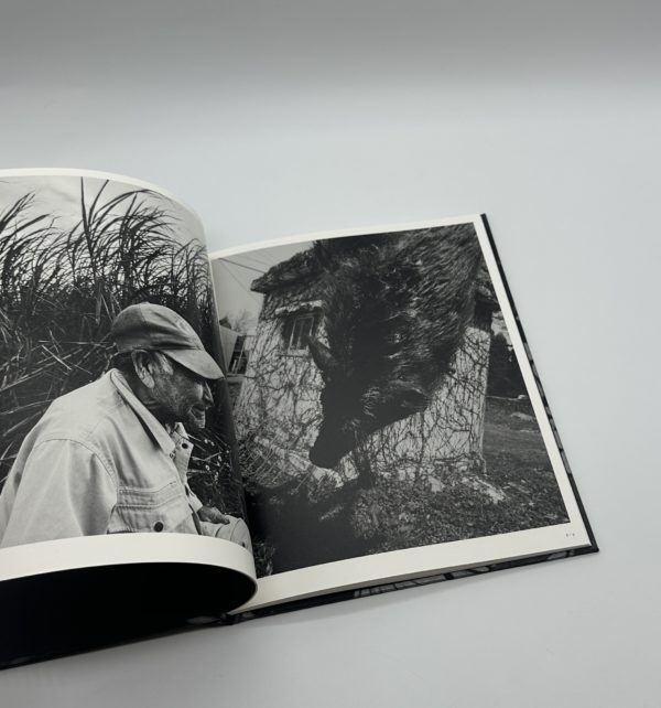 「署名入」巡る犬