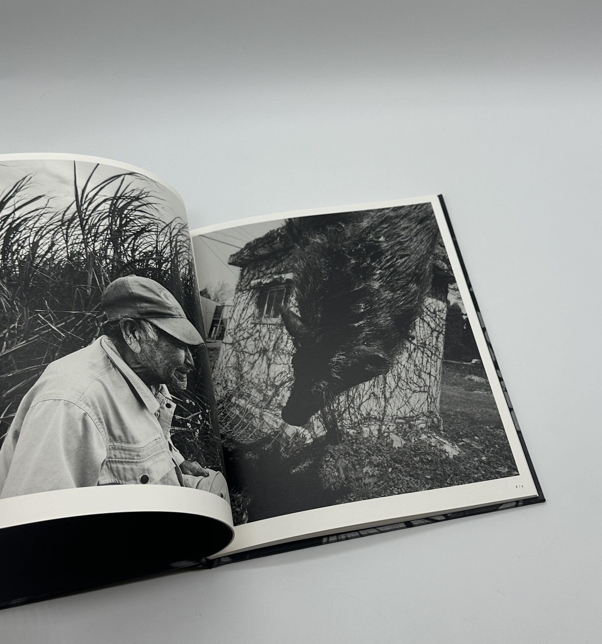 「署名入」巡る犬 - 画像 (3)