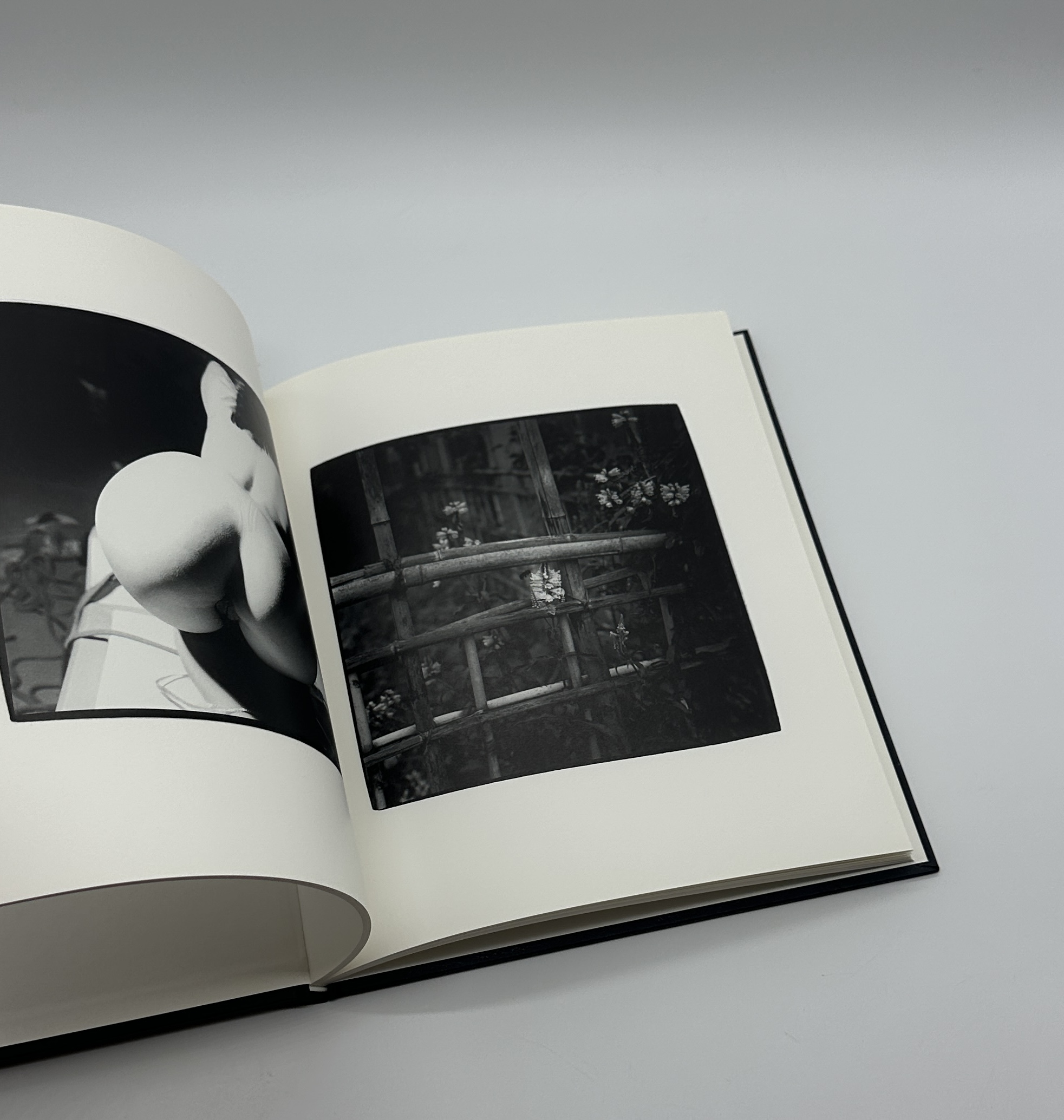 光あるうちに - 画像 (5)