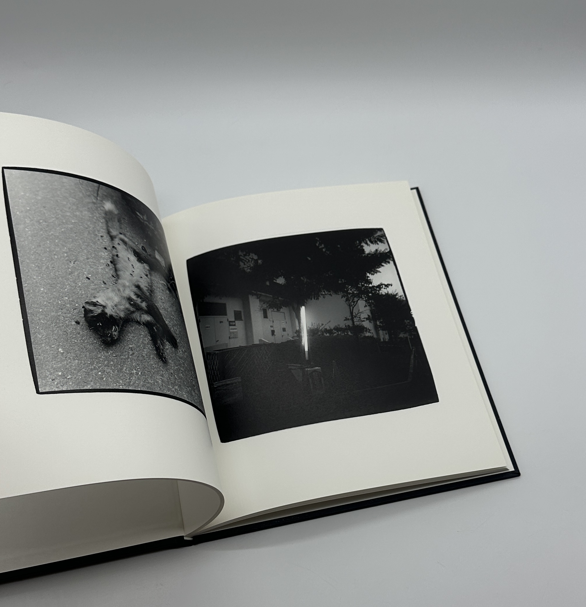 光あるうちに - 画像 (4)