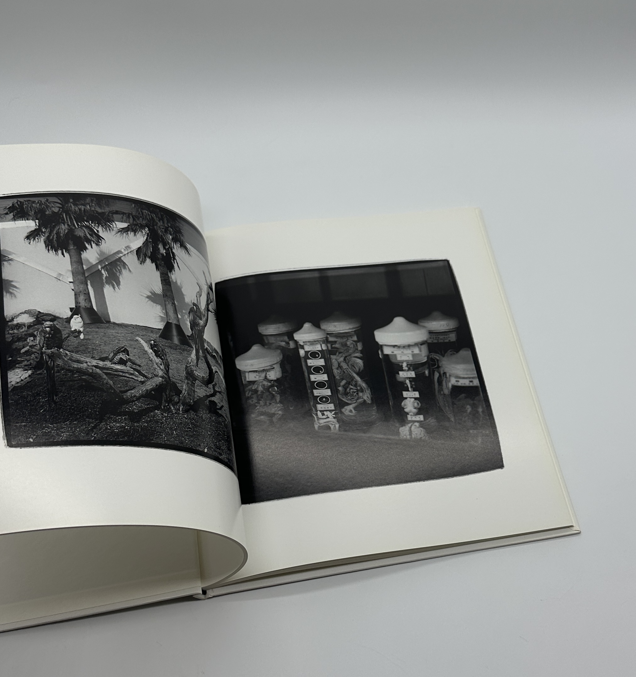 現の闇 - 画像 (4)