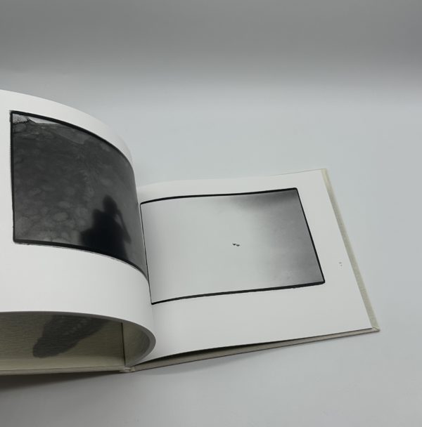 常世の虫　改訂版