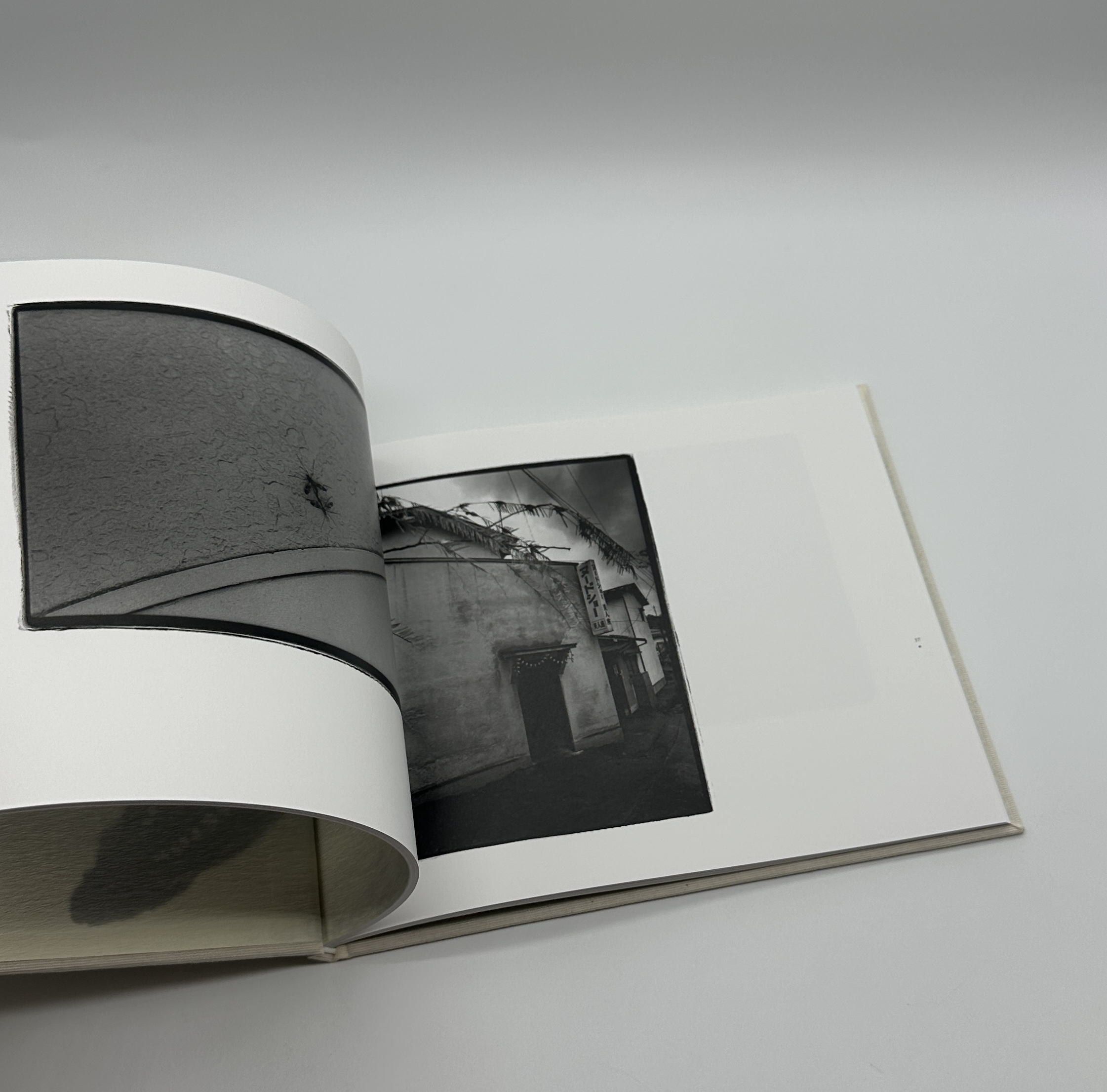 常世の虫　改訂版 - 画像 (5)