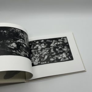 常世の虫　改訂版 - 画像 (4)