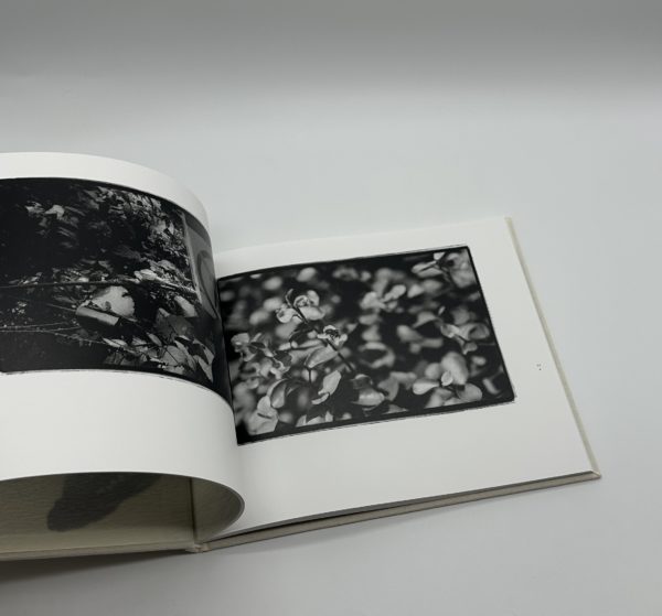 常世の虫　改訂版