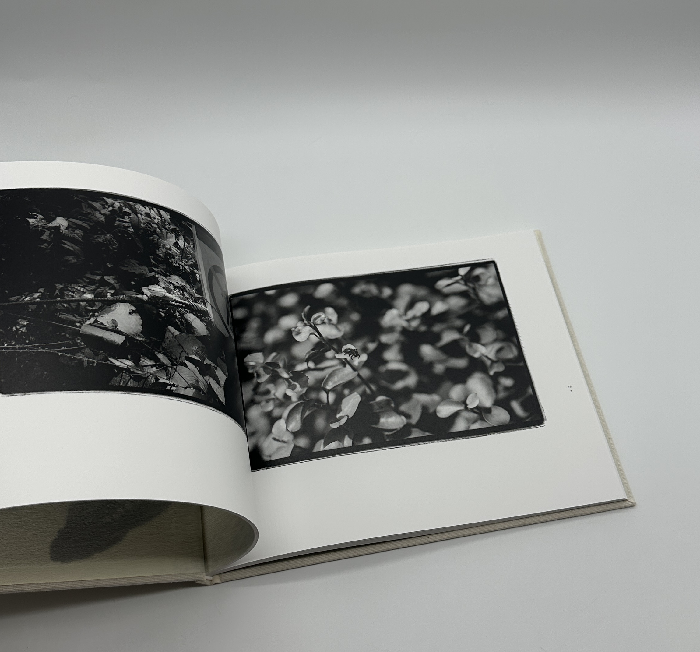 常世の虫　改訂版 - 画像 (4)