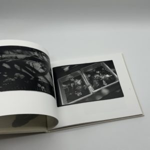 常世の虫　改訂版 - 画像 (3)