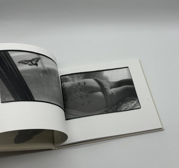 常世の虫　改訂版