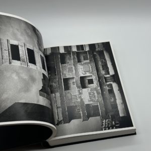 ANTIBODIES - 画像 (7)