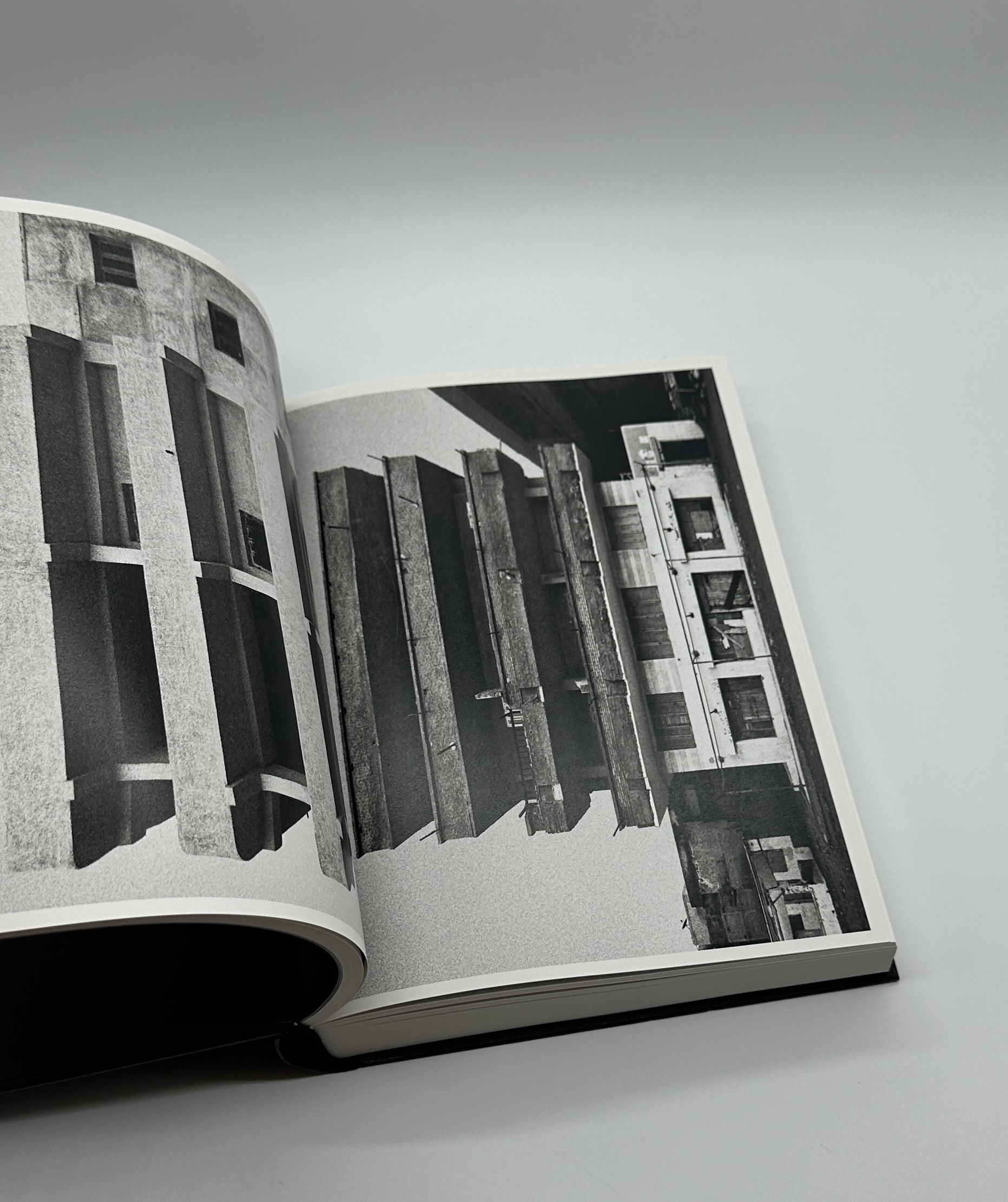 ANTIBODIES - 画像 (6)