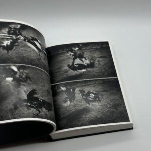 ANTIBODIES - 画像 (5)