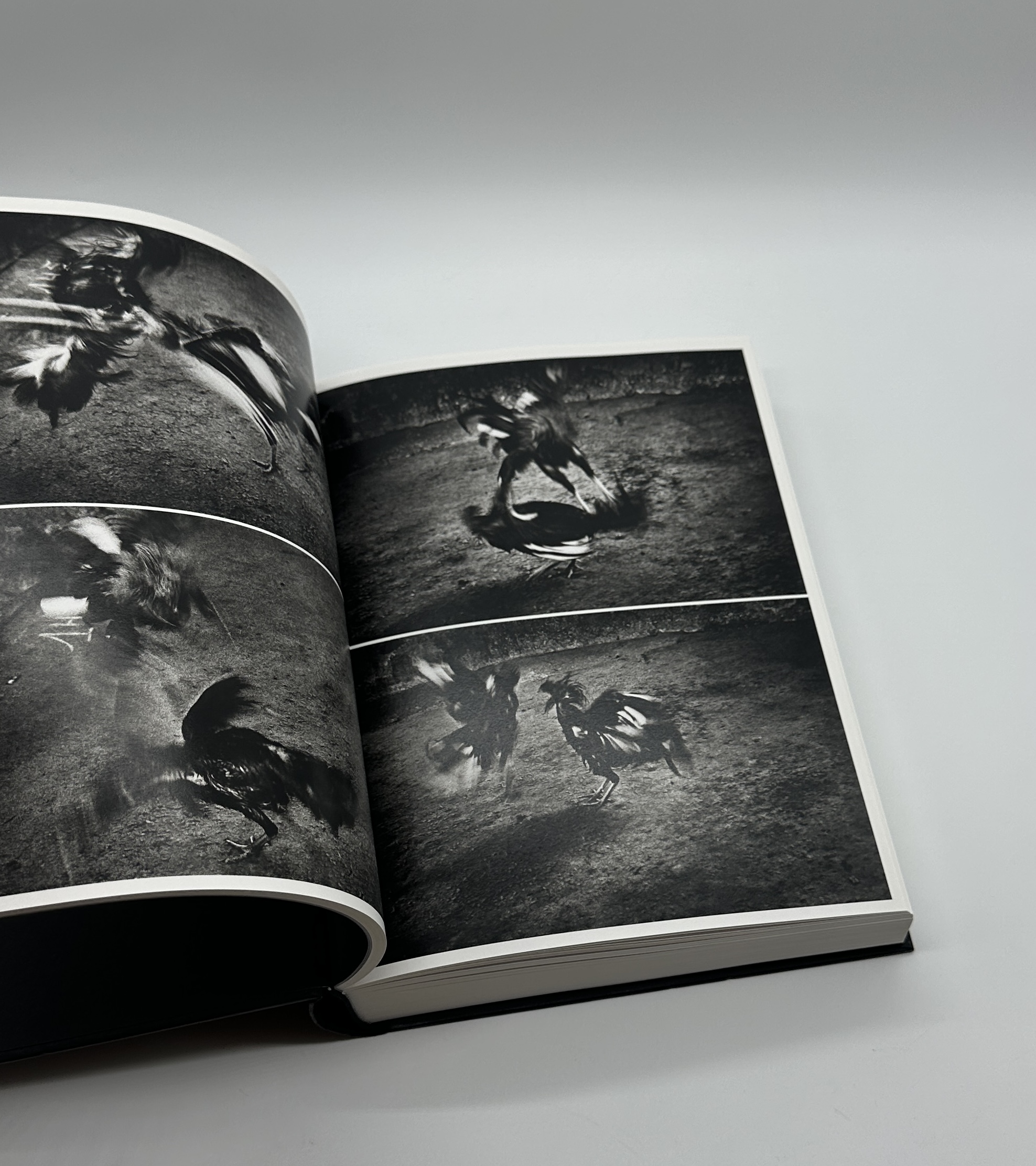 ANTIBODIES - 画像 (5)