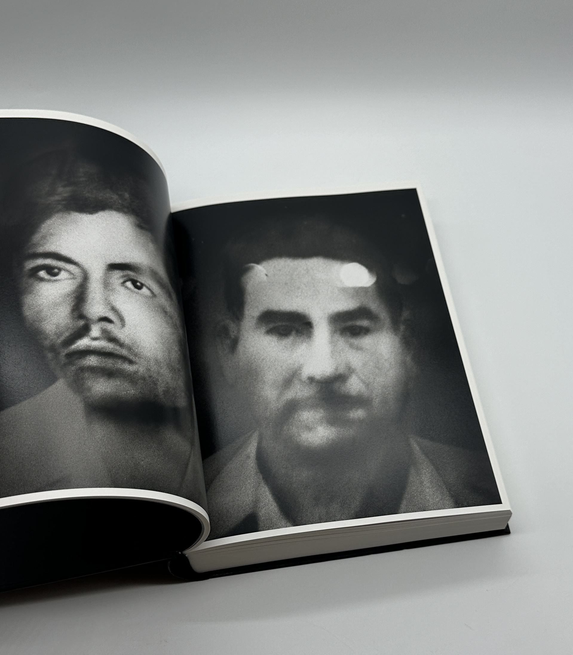 ANTIBODIES - 画像 (4)