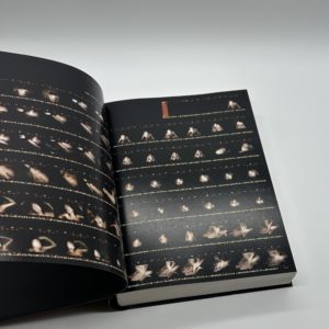 ANTIBODIES - 画像 (2)