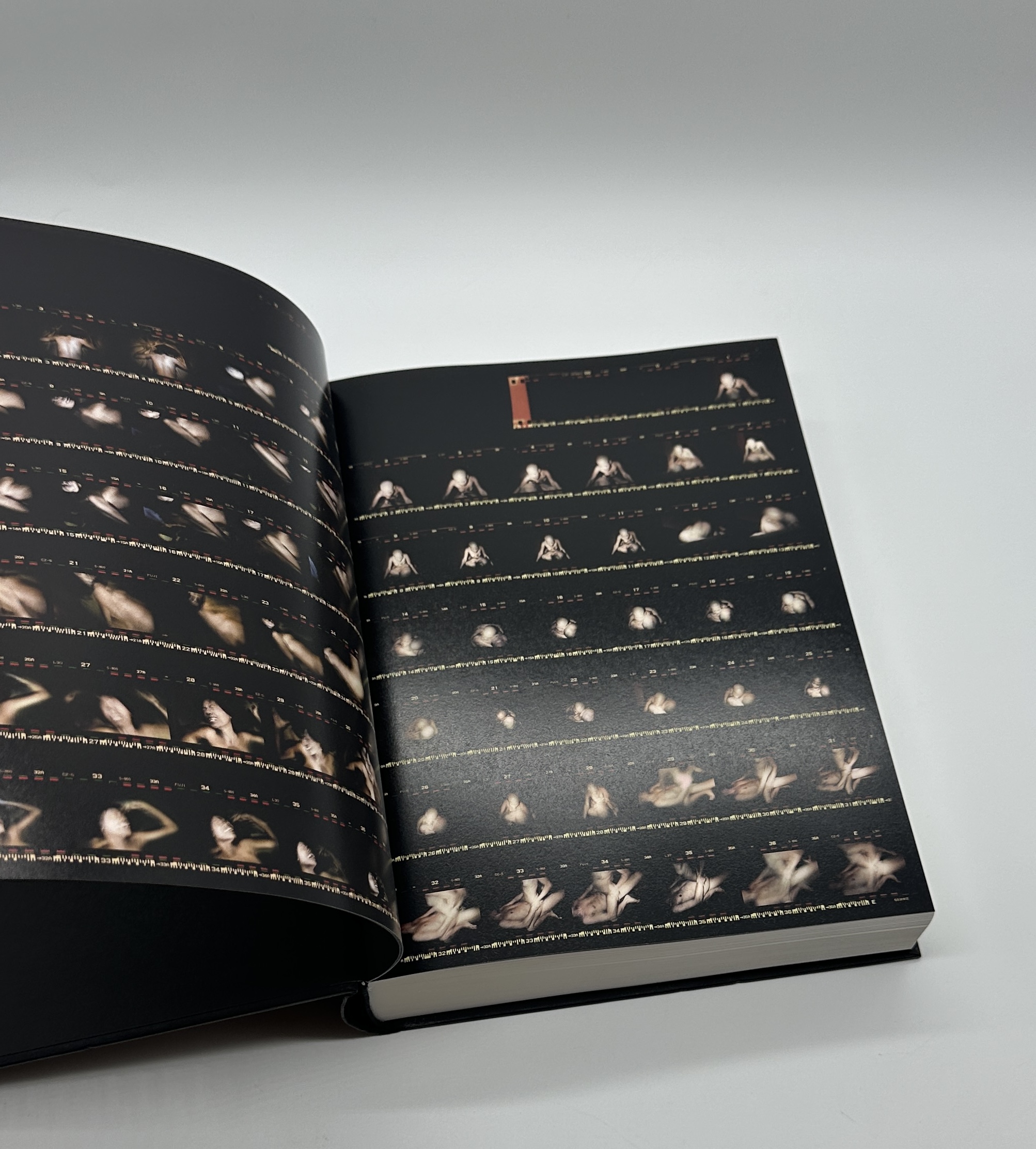 ANTIBODIES - 画像 (2)