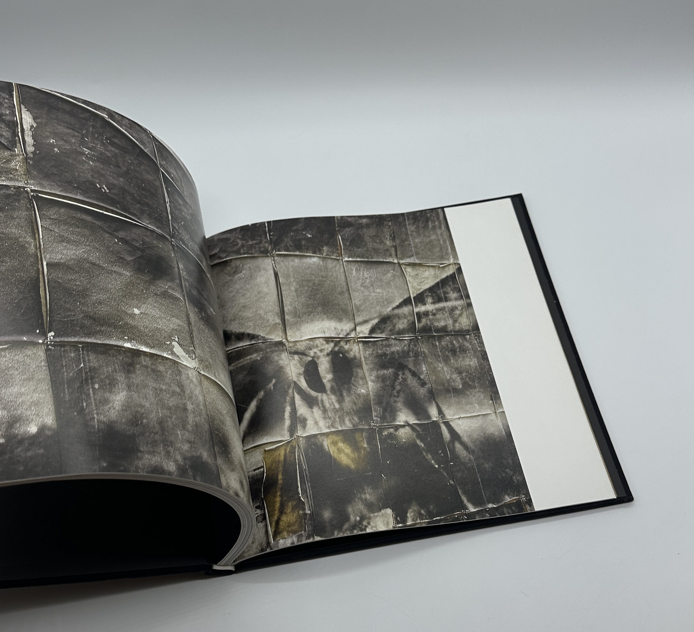 Gravity of Light - 画像 (8)