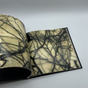 Gravity of Light - 画像 (6)