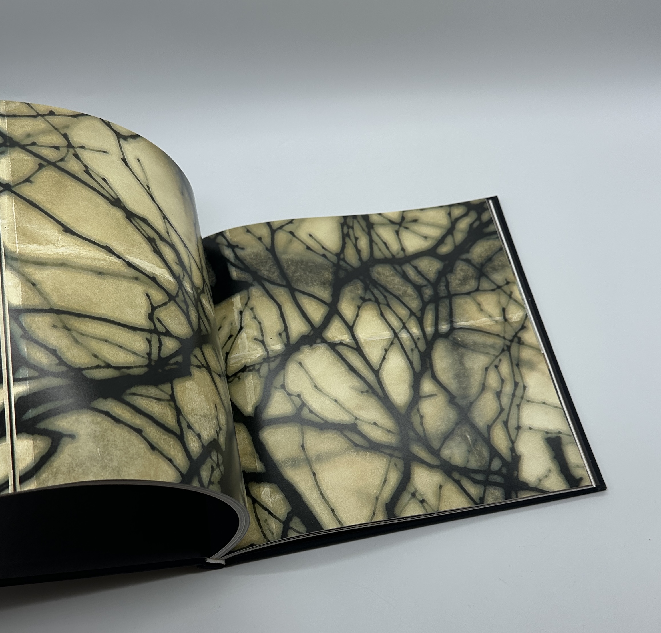 Gravity of Light - 画像 (6)