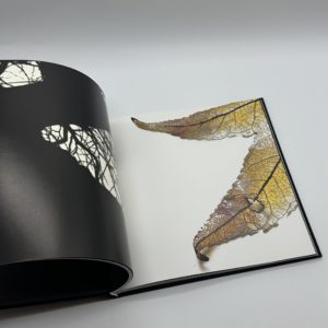 Gravity of Light - 画像 (4)