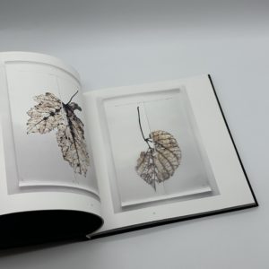 Gravity of Light - 画像 (2)