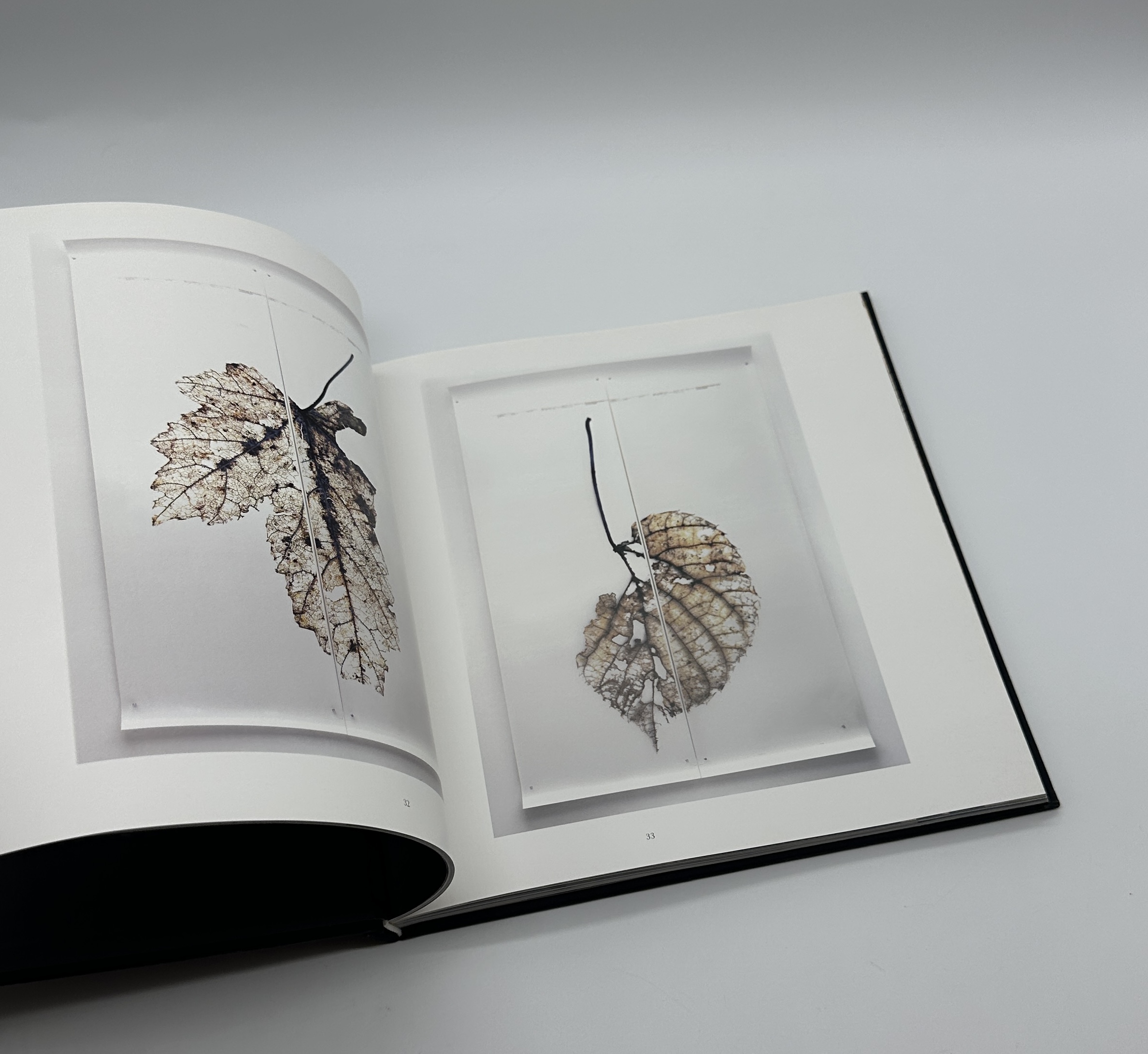 Gravity of Light - 画像 (2)