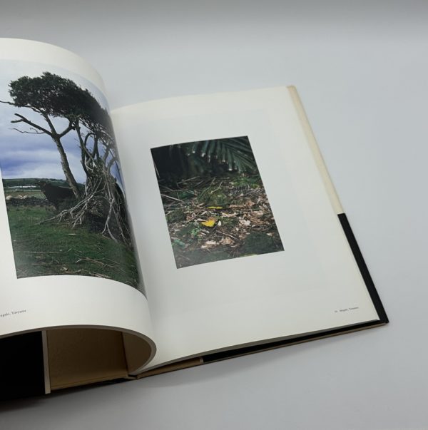 瞬間の山　形態創出と聖性