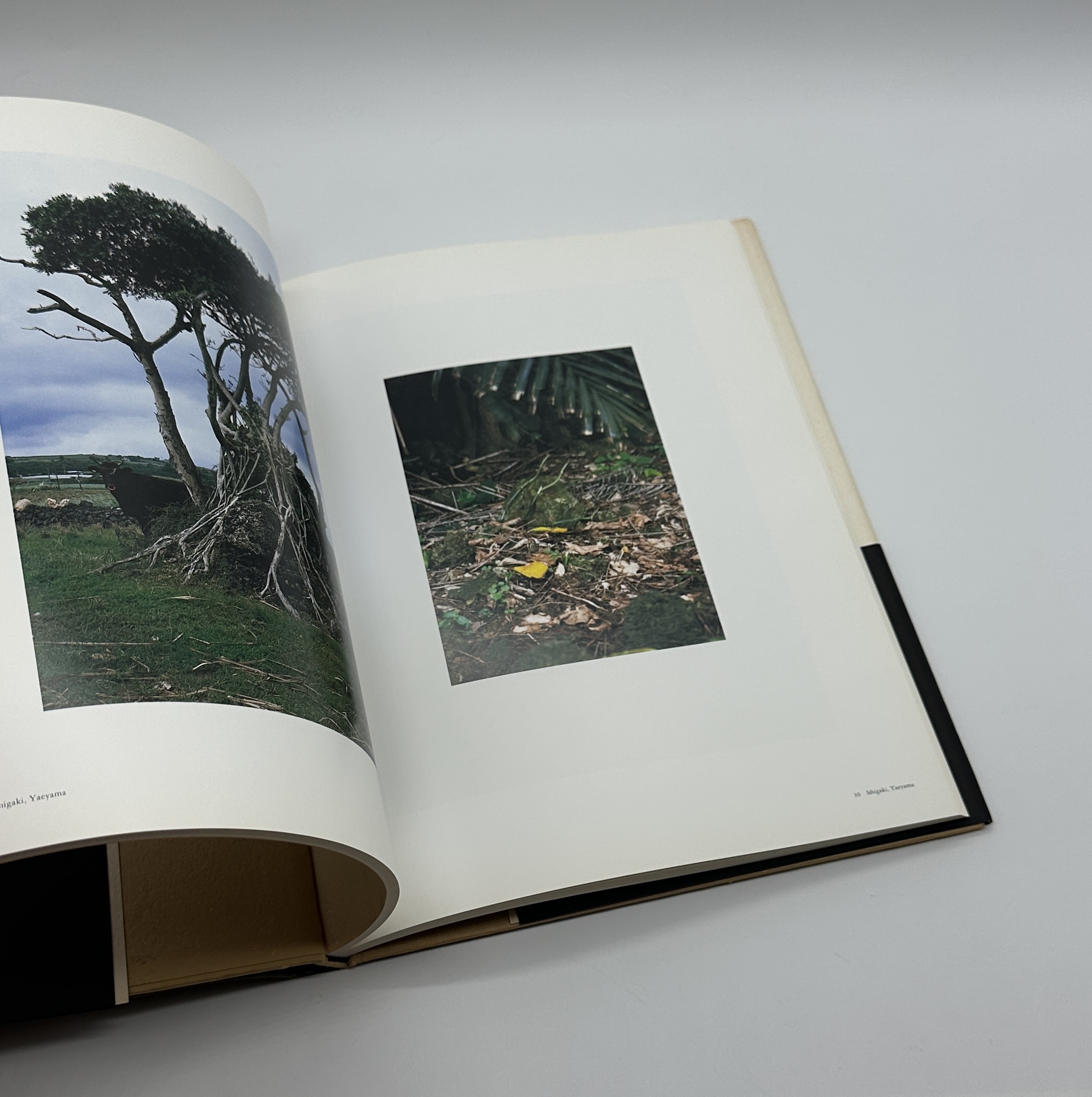 瞬間の山　形態創出と聖性 - 画像 (7)