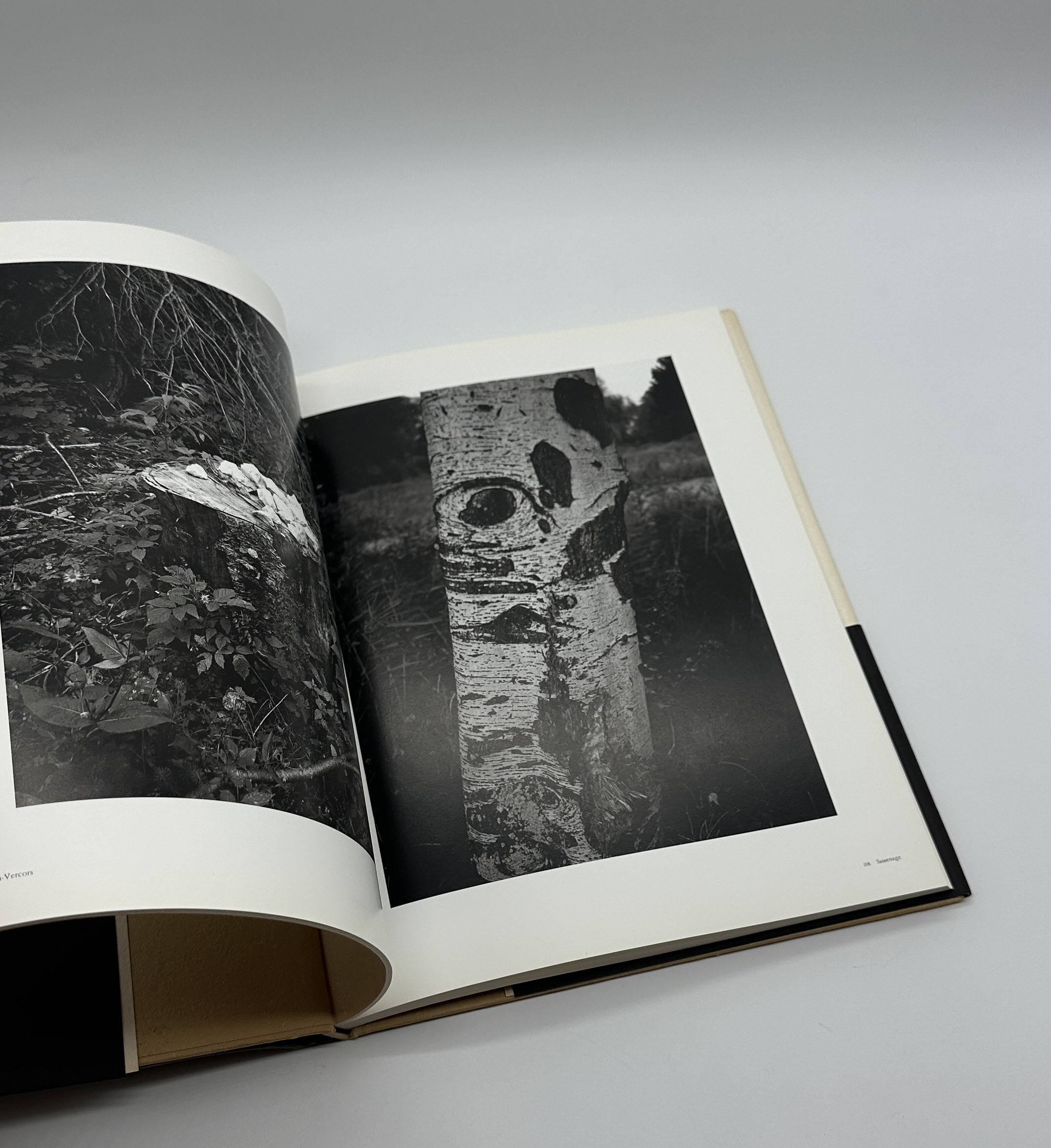 瞬間の山　形態創出と聖性 - 画像 (5)