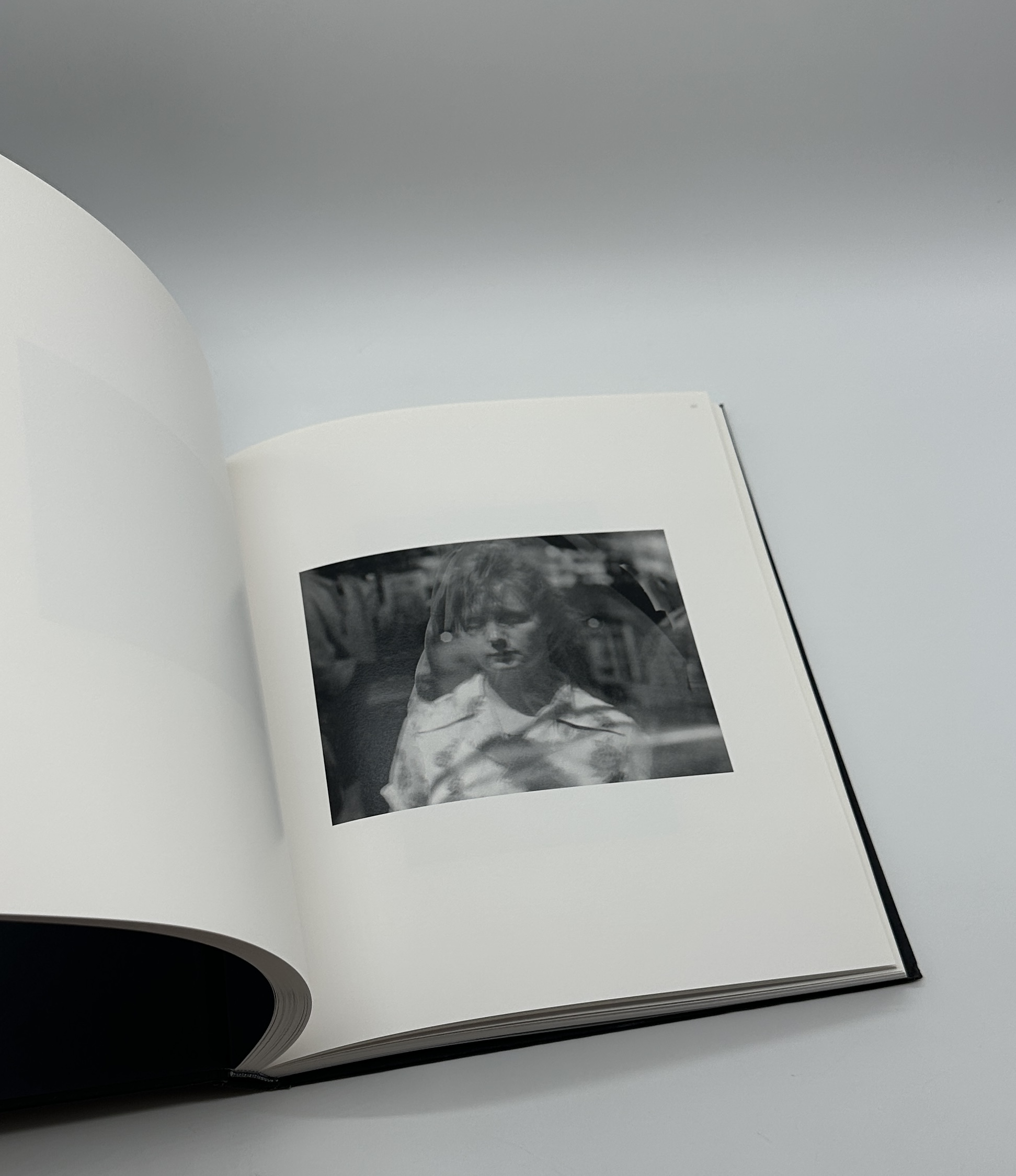 Photographs - 画像 (9)